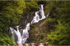 Torc Waterfall im Killarney Nationalpark im Mai - Nicole Reimer Fotografie