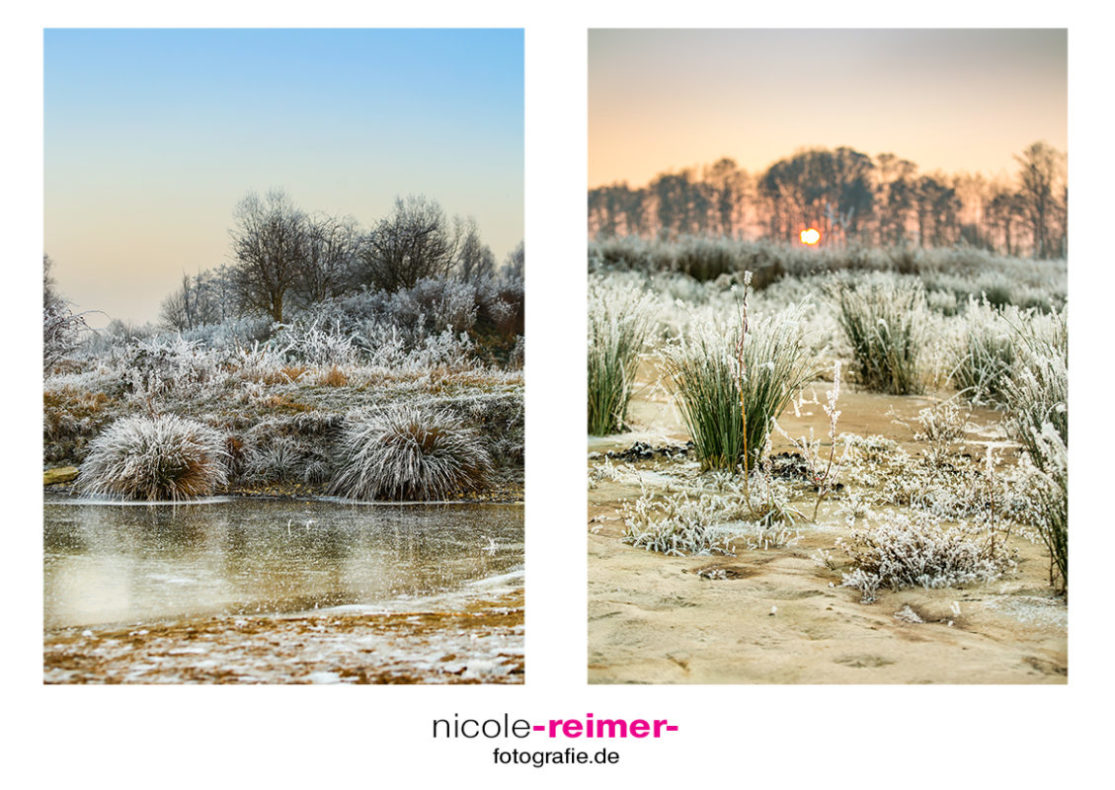 Landschaftsfotografie Nicole Reimer - Frostige Winterlandschaft