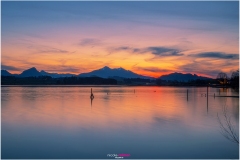 Blaue Stunde mit Glühendem Abendrot am Hopfensee - Nicole Reimer Fotografie