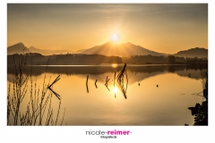 Der Hopfensee im Frühling bei Sonnenuntergang - Nicole Reimer Fotografie