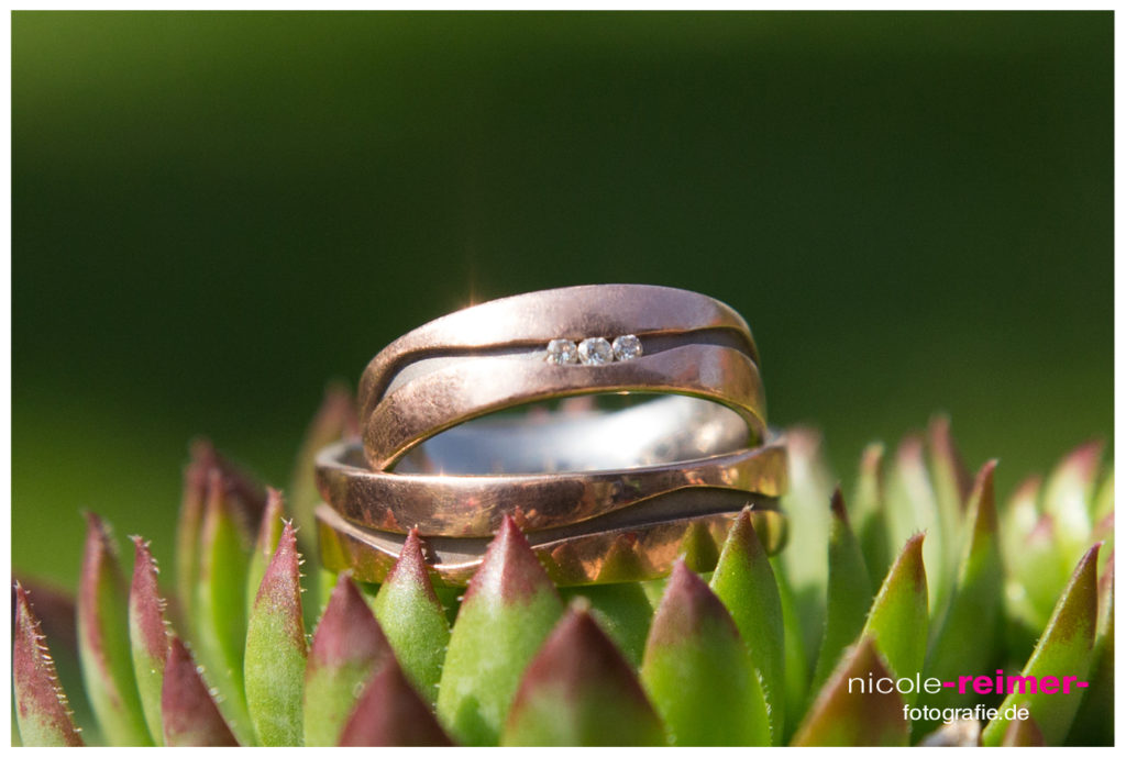 Trauringe fotografieren_Nicole Reimer Hochzeitsfotografie_3