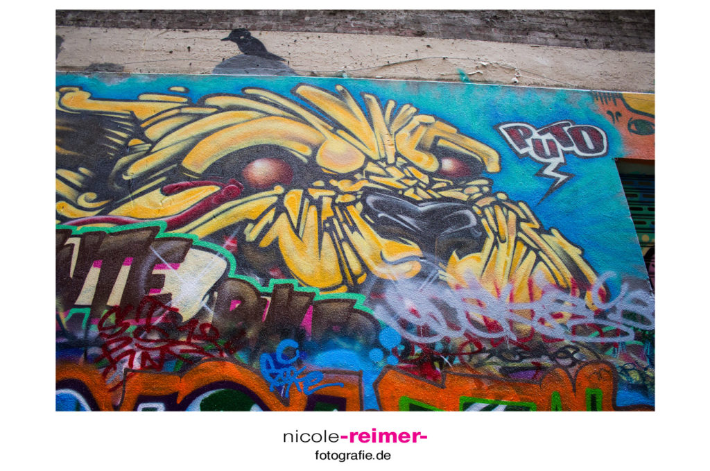 Street Art in Melbourne_Nicole Reimer Fotografie11