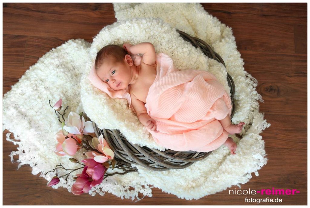 Babyfotografie Nicole Reimer Fotografie